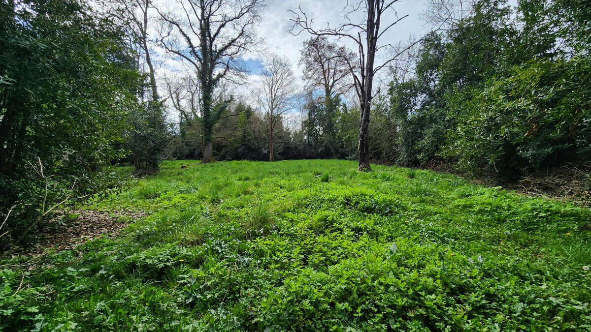 Maison à LUGON-ET-L&#039;ILE-DU-CARNAY