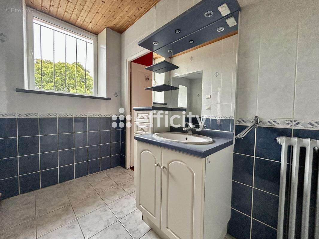 Maison à LA MOTHE-ACHARD