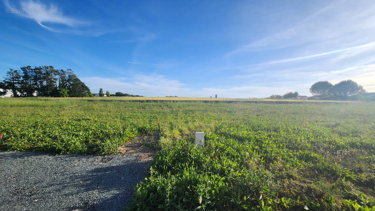 Terrain à MORNAC-SUR-SEUDRE