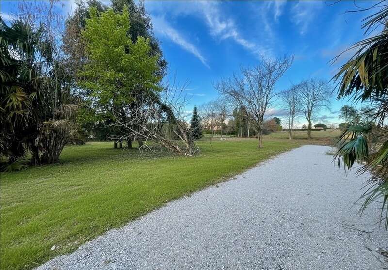 Terrain à SAINT-JEAN