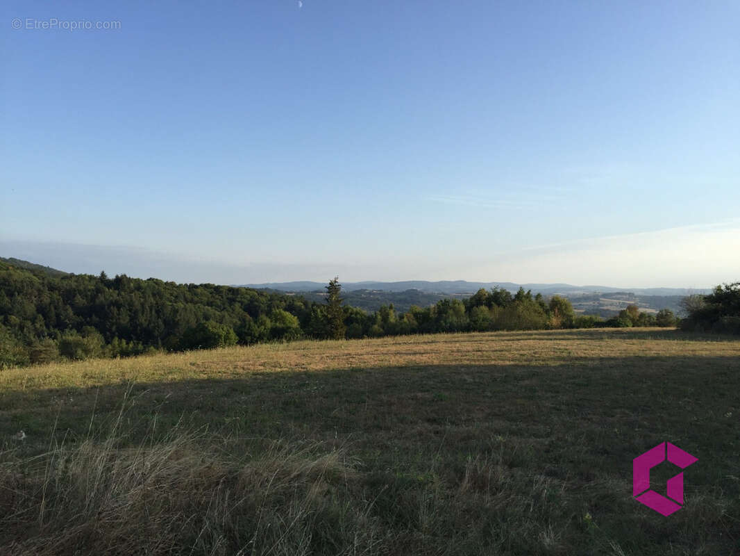 Maison 306 m² à Vollore-Ville  - photo 19