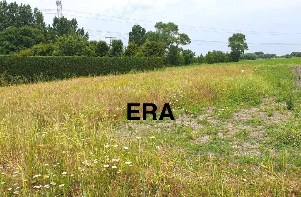 Terrain à GUEMPS