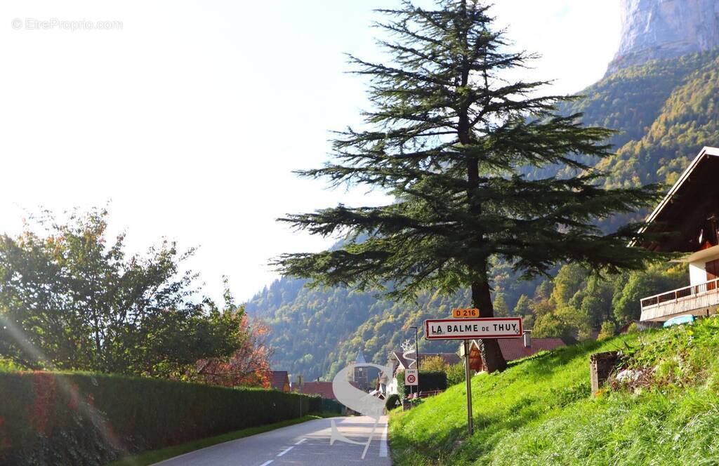 Terrain à LA BALME-DE-THUY
