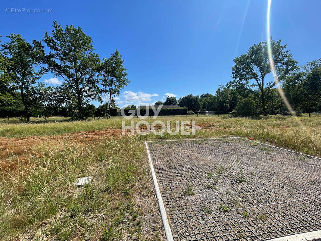 Terrain à PARENTIS-EN-BORN