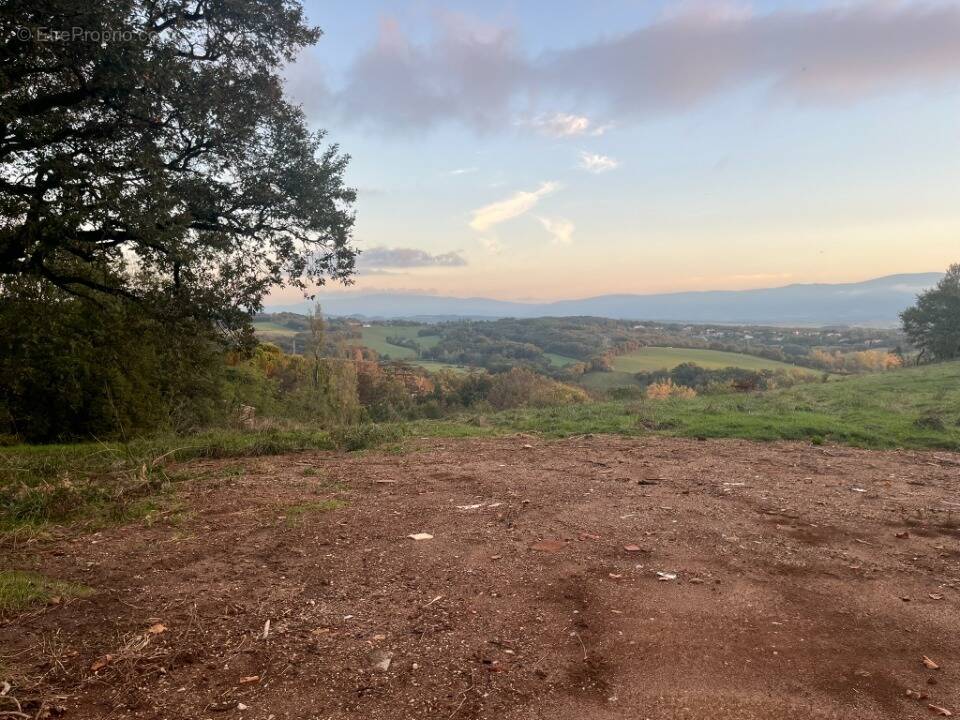 Terrain à CASTRES