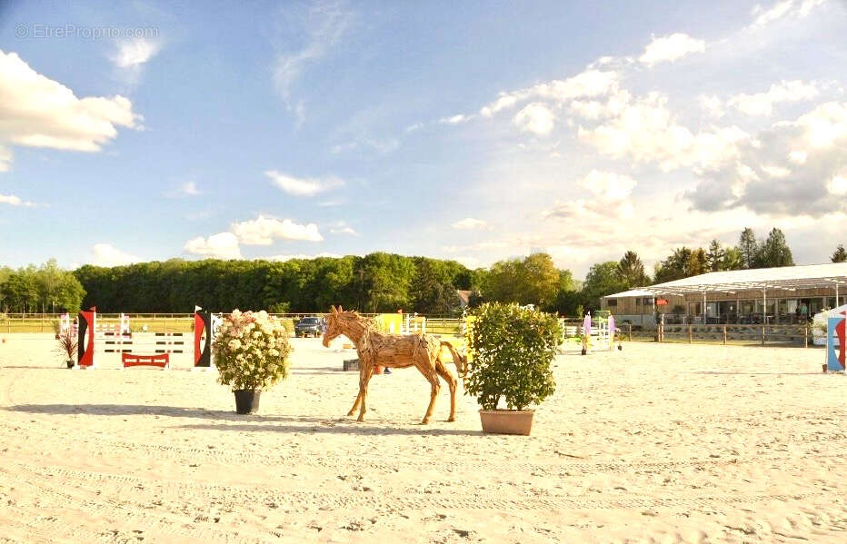 Propriété équestre Reims sur 2,5 hectares de terrains - photo 8