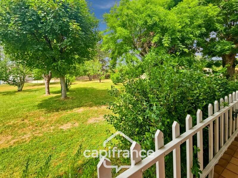 Maison à CASTELCULIER