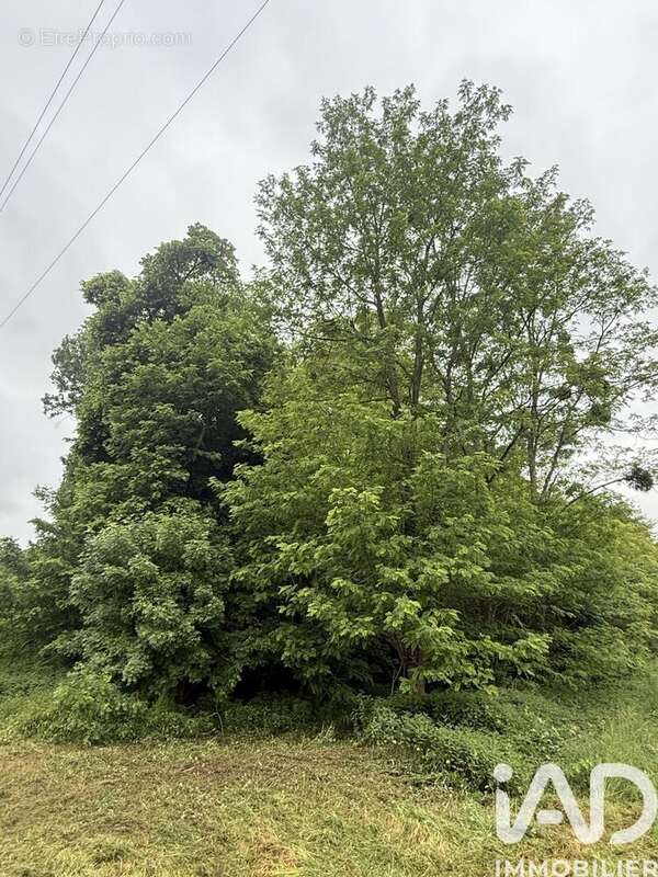 Photo 2 - Terrain à VERNOU-SUR-BRENNE