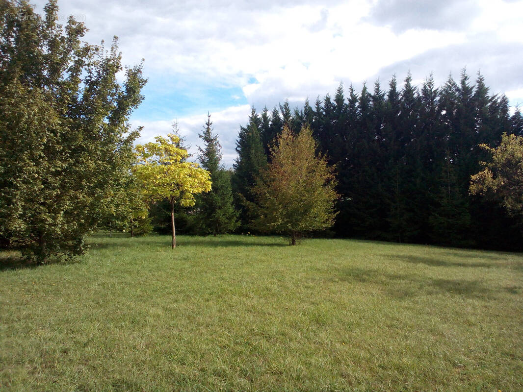 Terrain à LE VAL-DE-GUEBLANGE