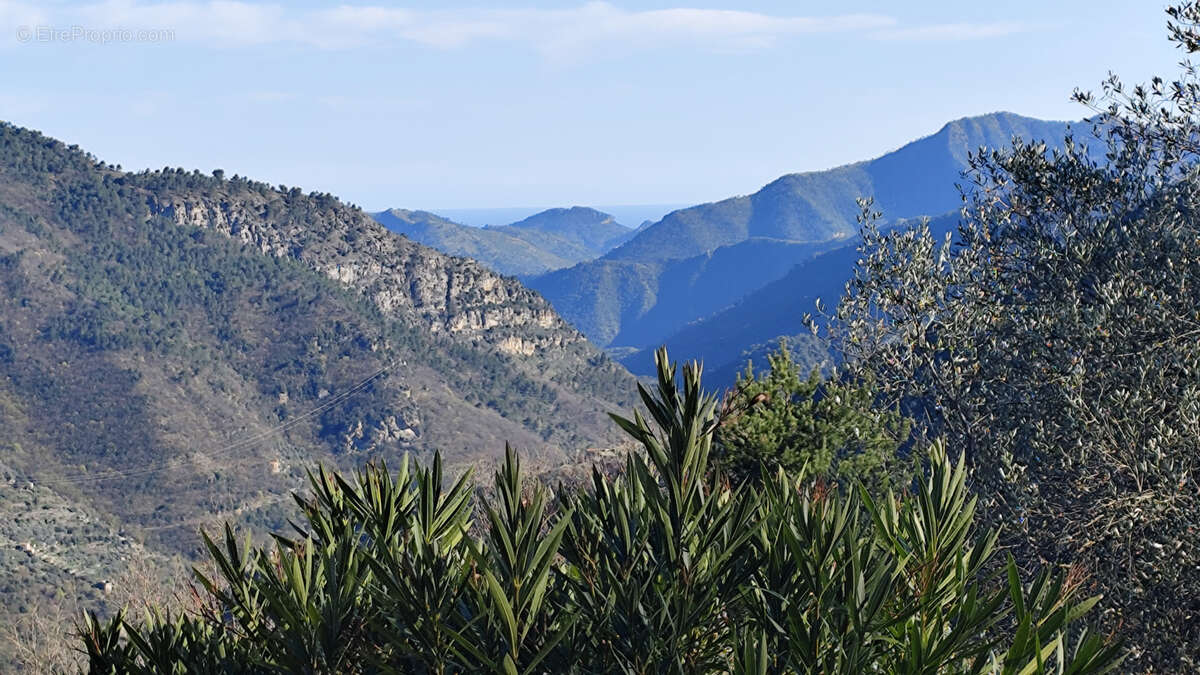 Maison à BREIL-SUR-ROYA