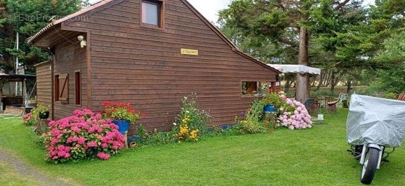 Terrain à TALMONT-SAINT-HILAIRE