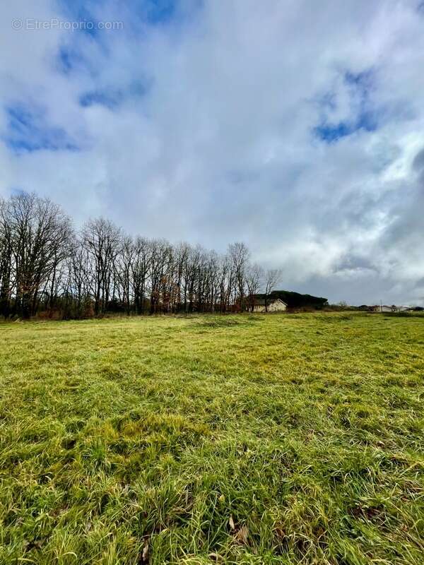 Terrain à bâtir viabilisé de 816 m² à Saint-Sardos (82) – proche Montech - photo 3