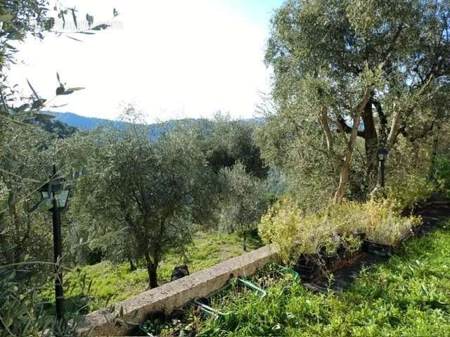 Maison à L&#039;ESCARENE