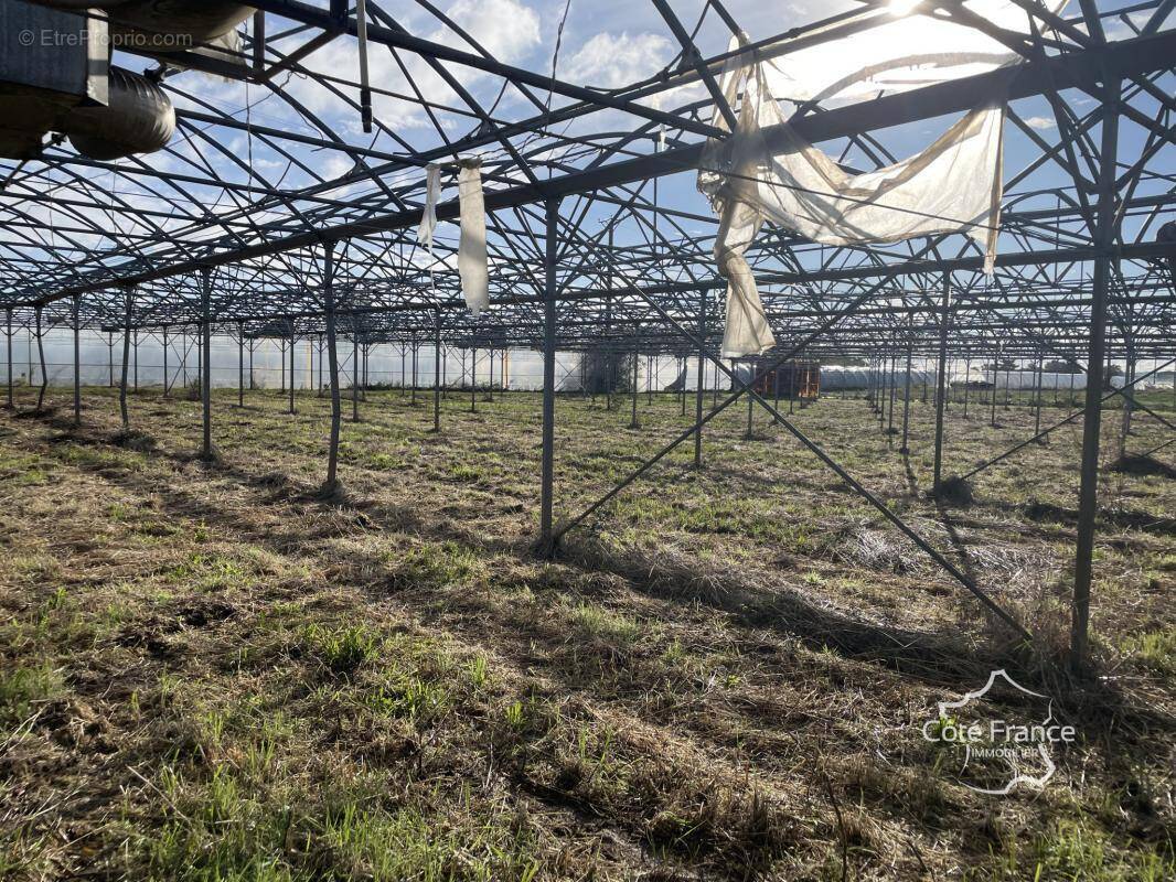Terrain à LONGUEVILLE