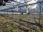 Terrain à LONGUEVILLE