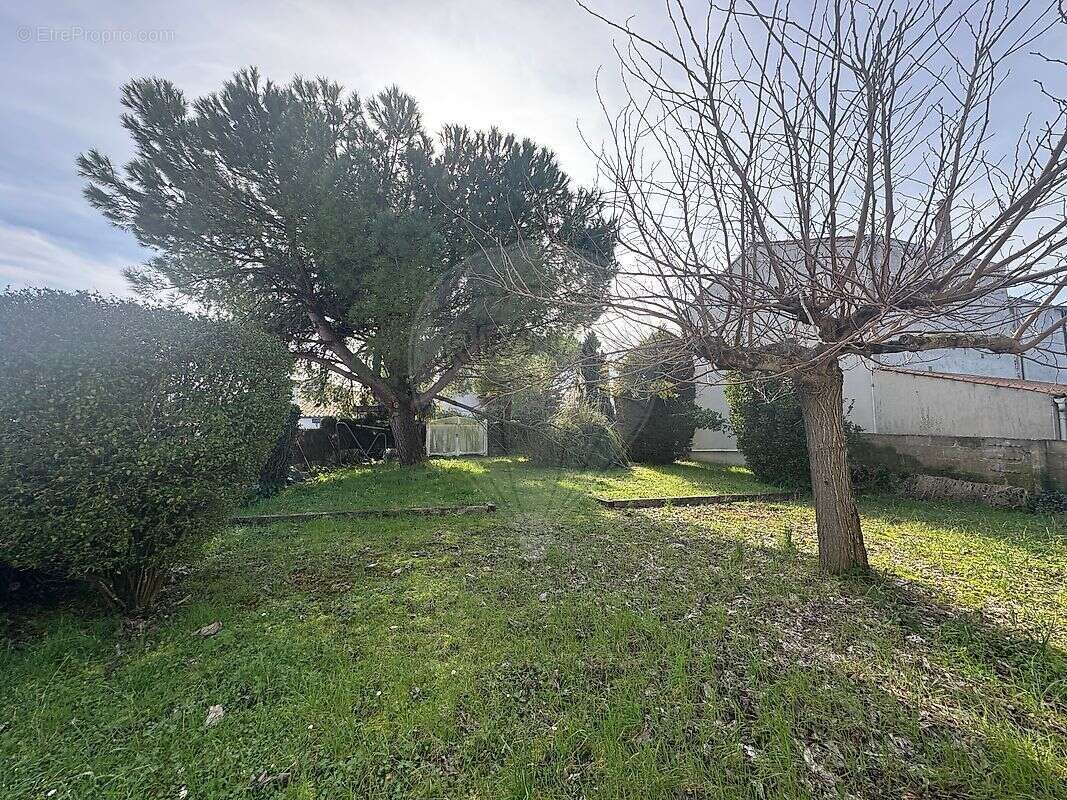 Maison à MESCHERS-SUR-GIRONDE