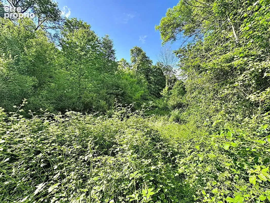 Exclusivite - cossesseville - terrain de loisirs - photo 6