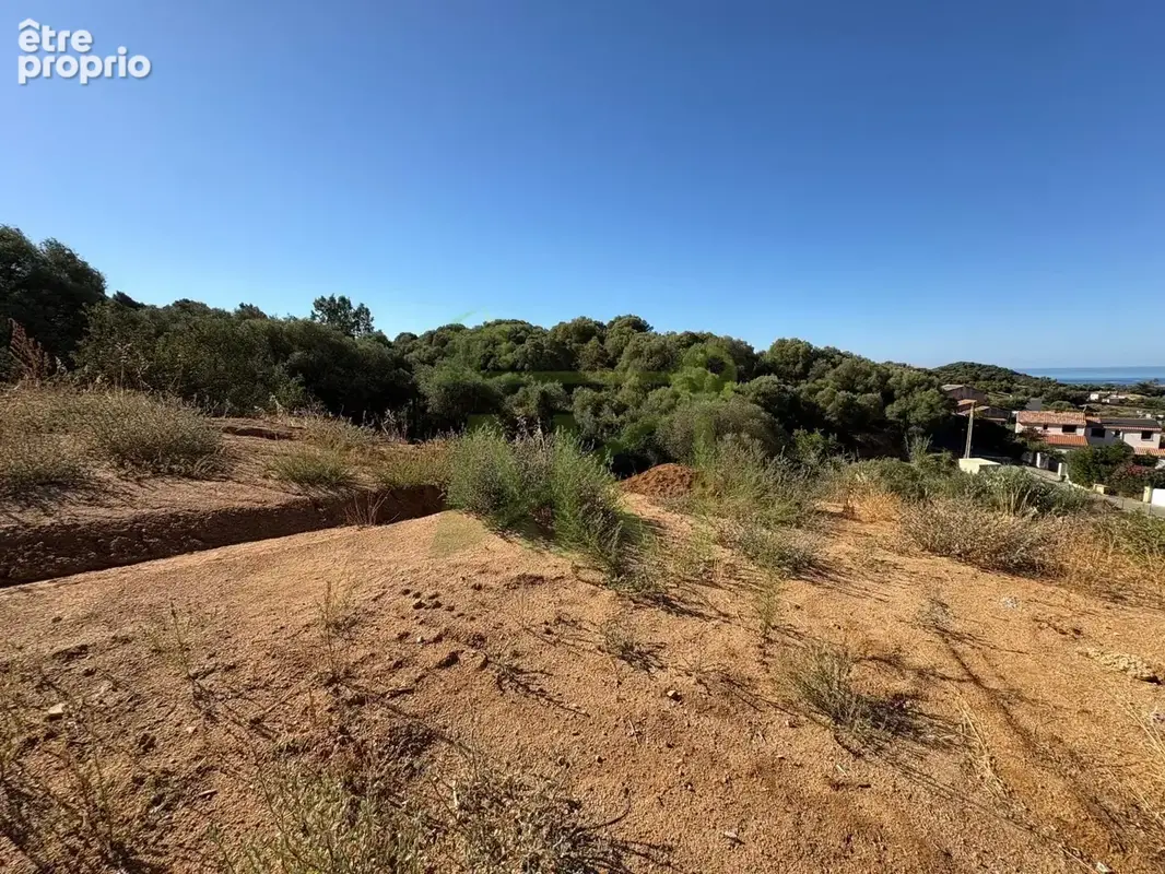 Terrain 1 168 m² à vendre à Bastelicaccia (20129) - photo 3