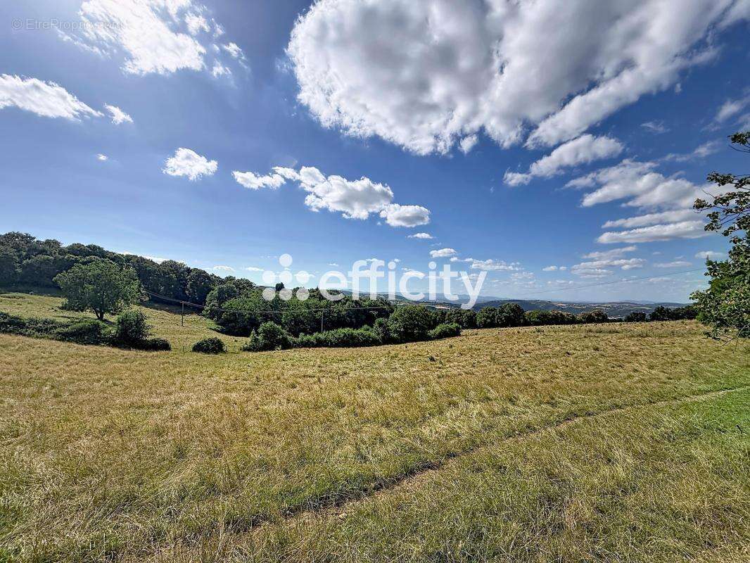 Maison 139 m² à Vienne  - photo 22