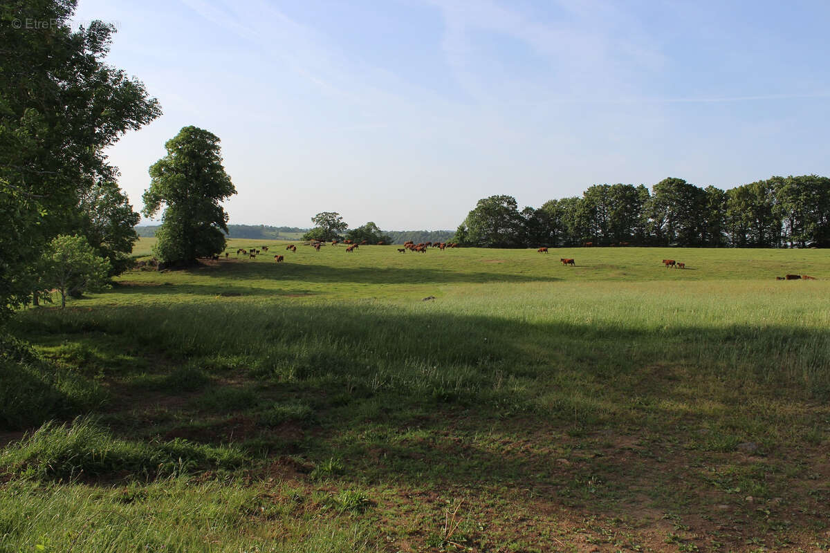 Maison à ANGLARDS-DE-SALERS