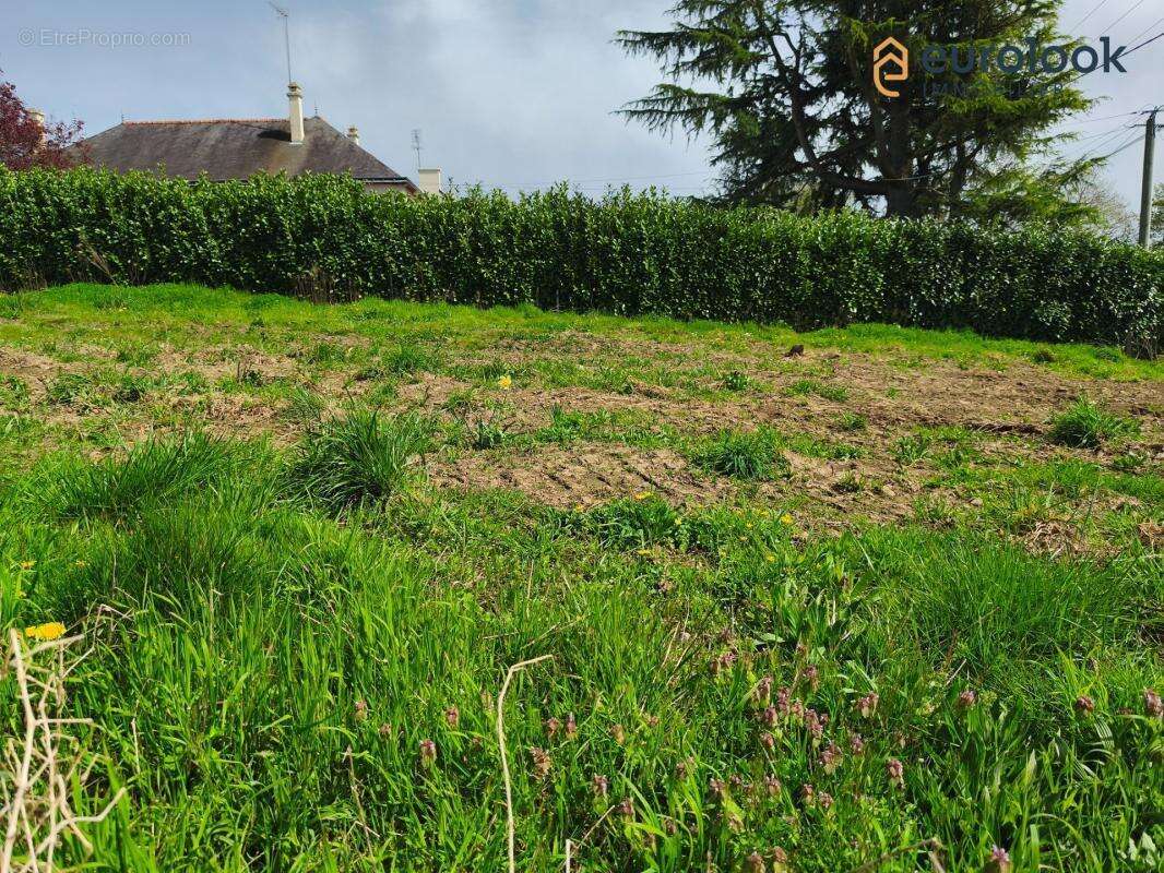 Terrain à MISSIRIAC