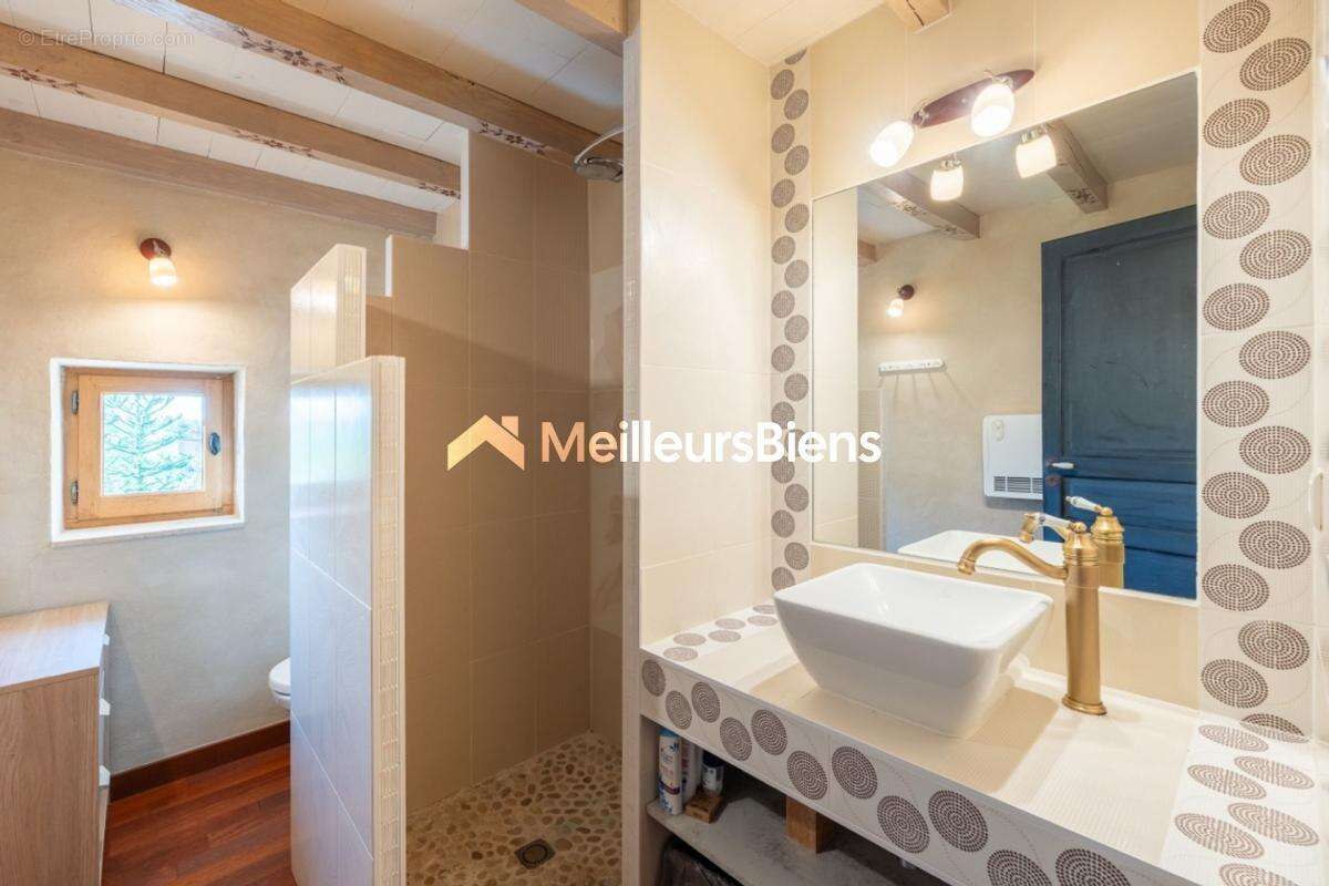 Maison bressane 327m² à Sulignat, terrain 4863m² - photo 16