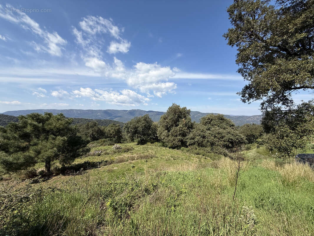 Maison à LE LAVANDOU