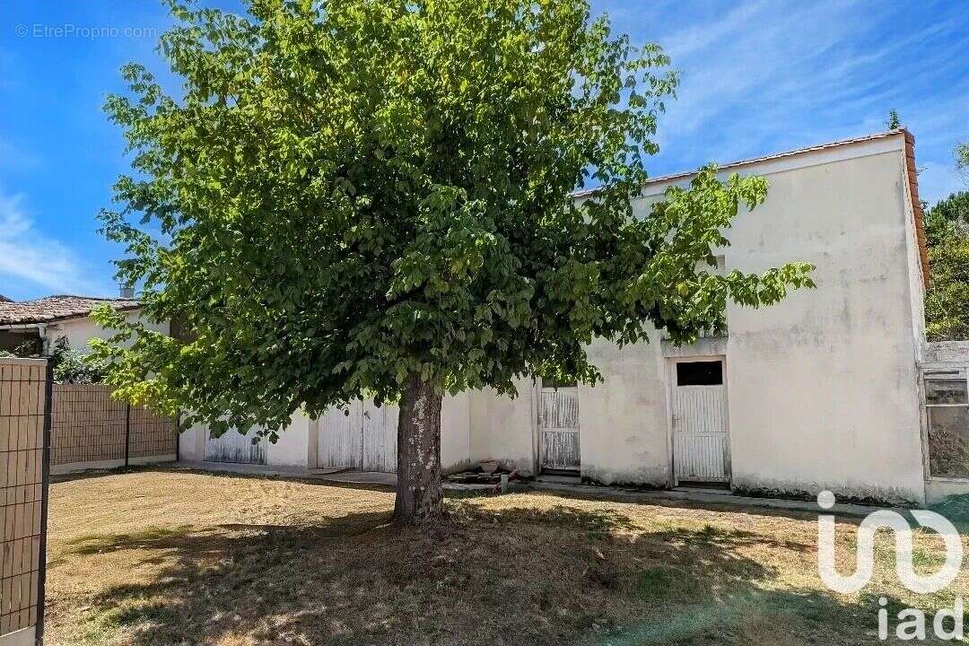 Photo 2 - Maison à SAINT-SEURIN-SUR-L'ISLE