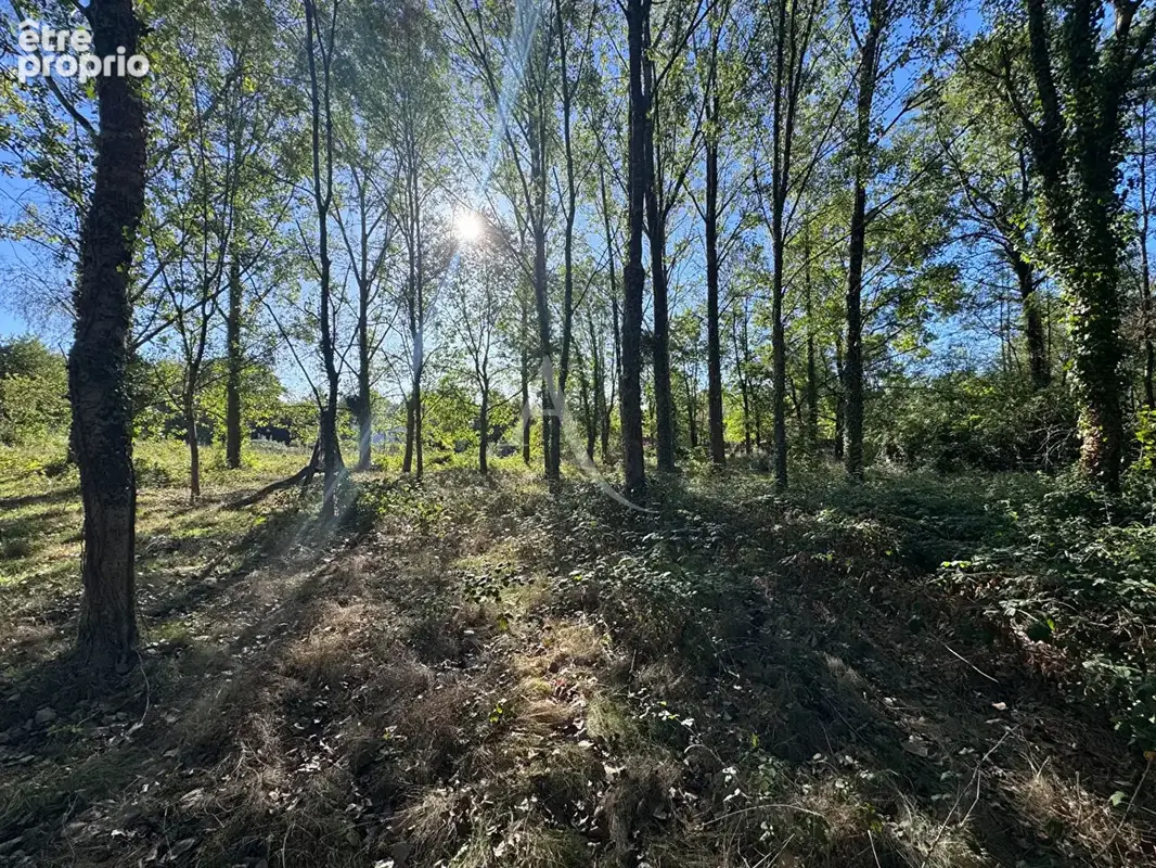 Terrain de loisirs Venansault - photo 3