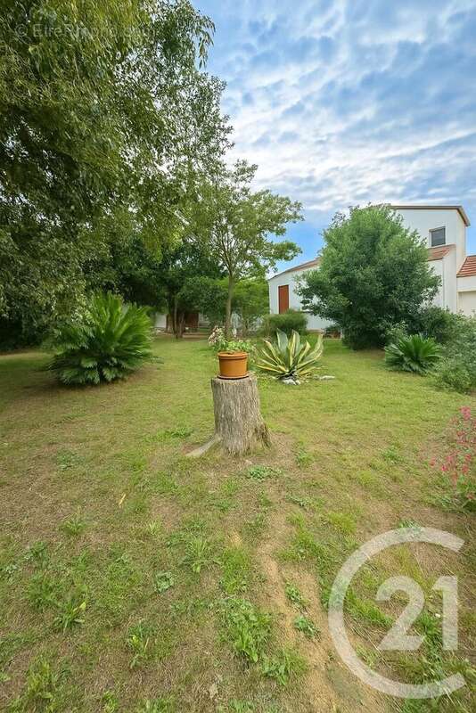 Maison à VILLELONGUE-DE-LA-SALANQUE