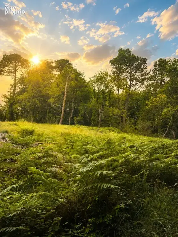 Photo Terrain à Trelissac au prix de 65 000€