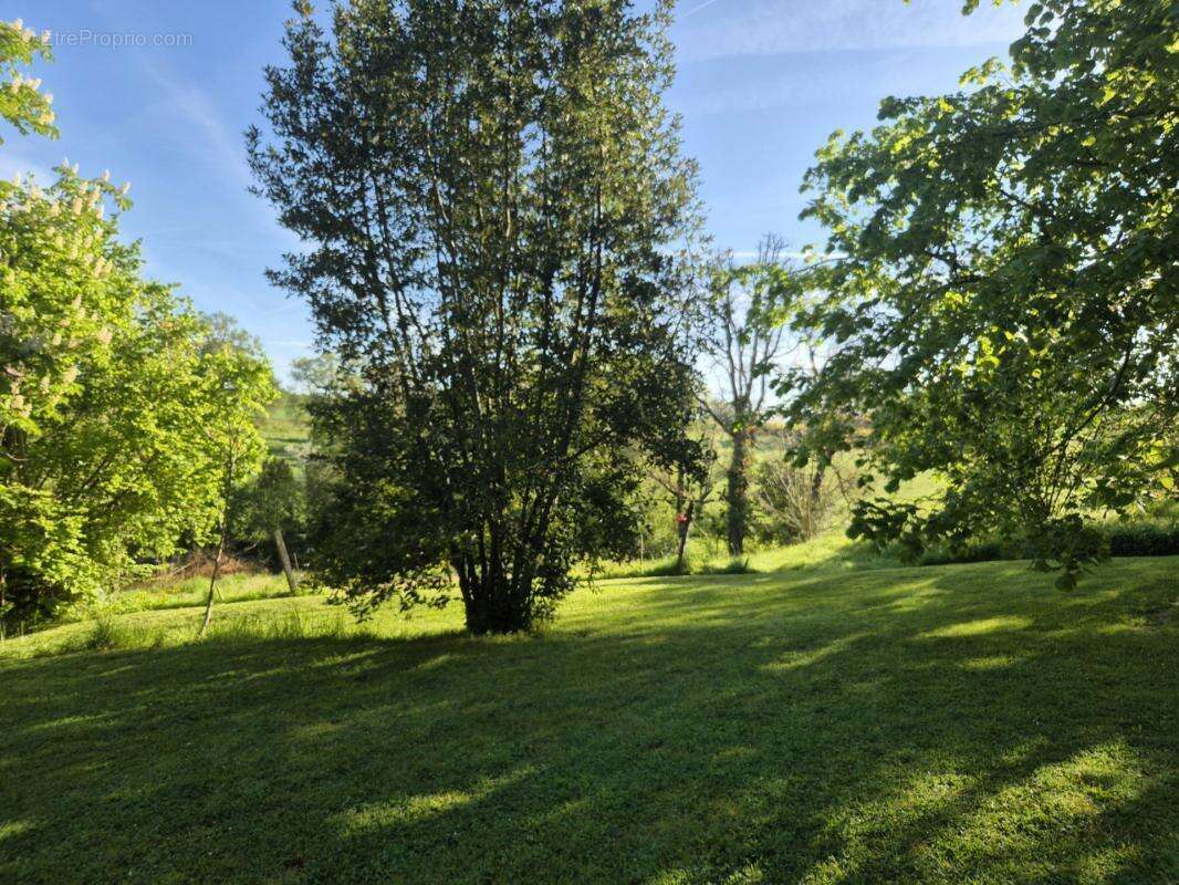 Maison en pierre avec beau terrain – cadre exceptionnel, sur le chemin de Saint-Jacques, à LA ROMIEU (32480) - photo 21
