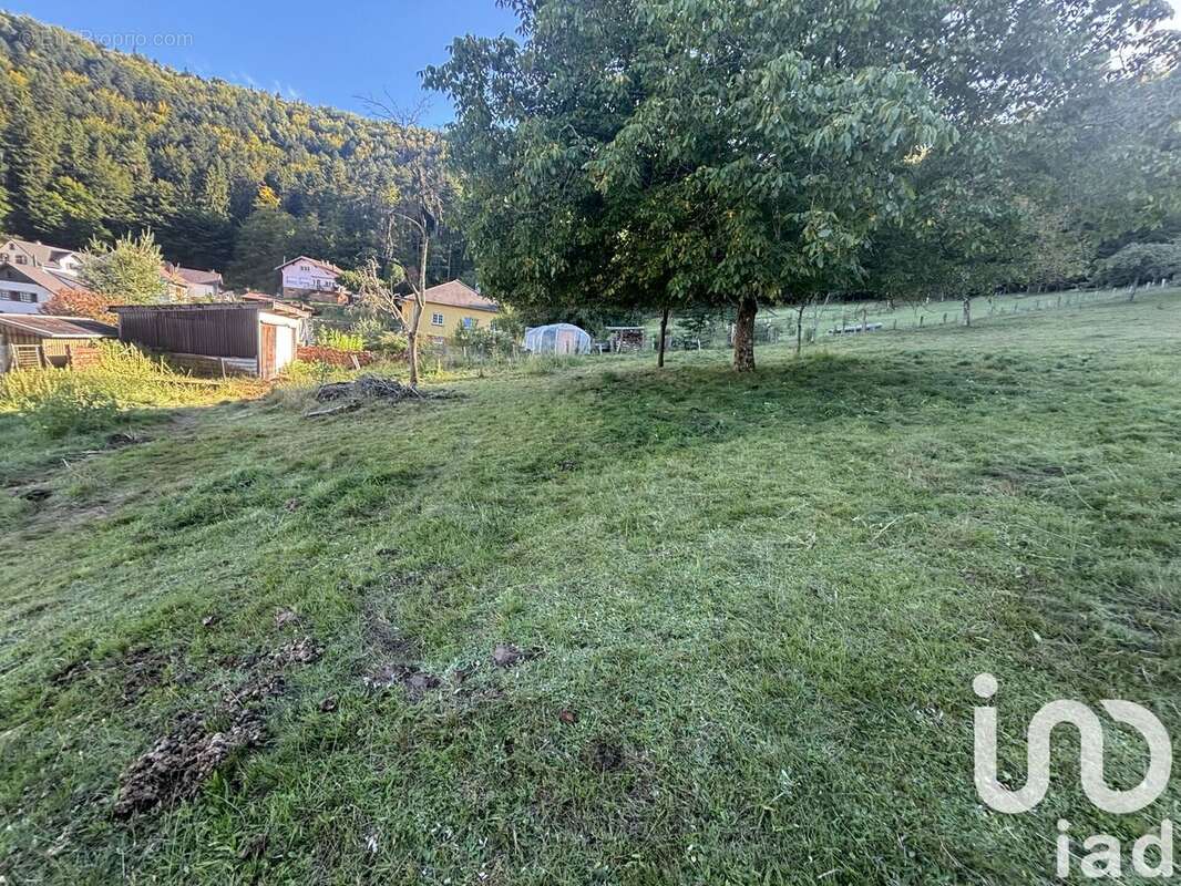 Photo 4 - Terrain à DABO