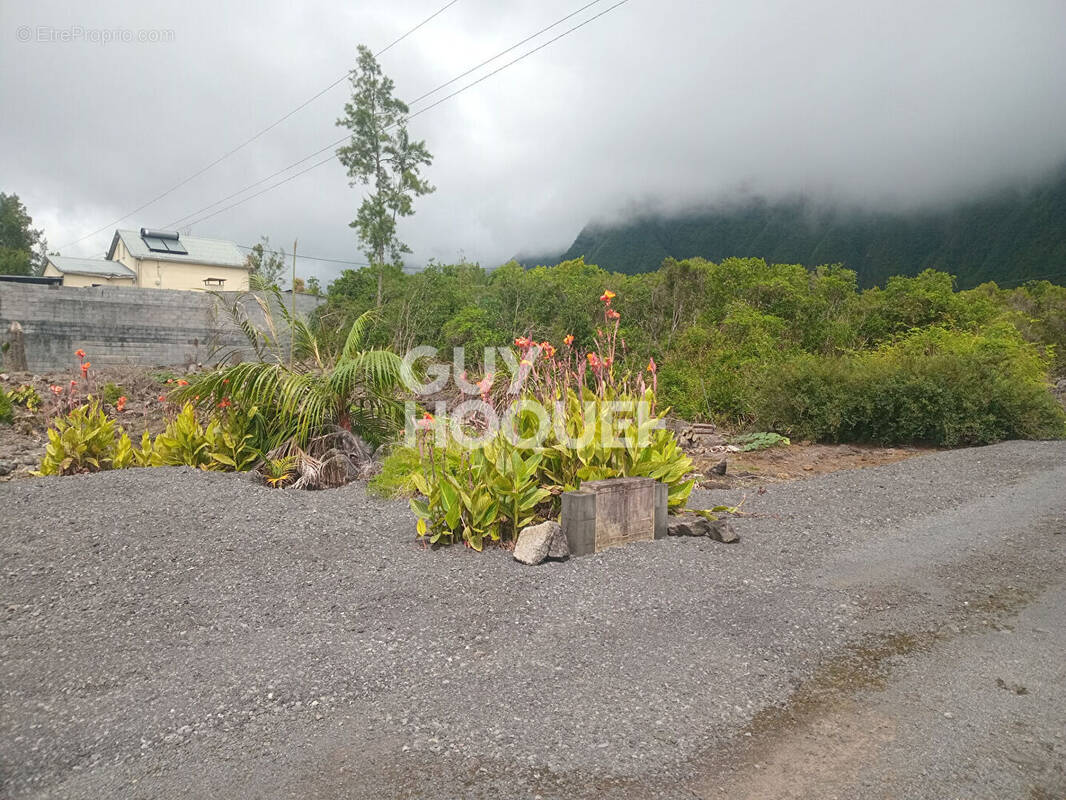 Terrain à LA PLAINE-DES-PALMISTES