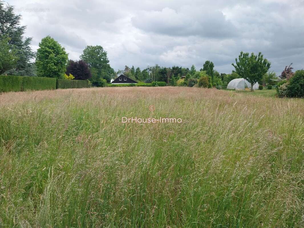 Terrain à SAINGHIN-EN-MELANTOIS