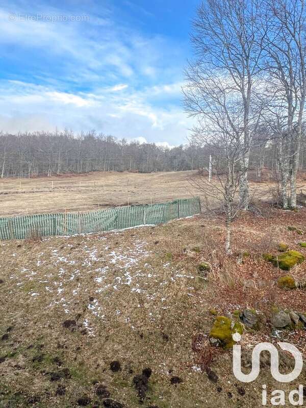 Photo 8 - Appartement à PRADES-D'AUBRAC