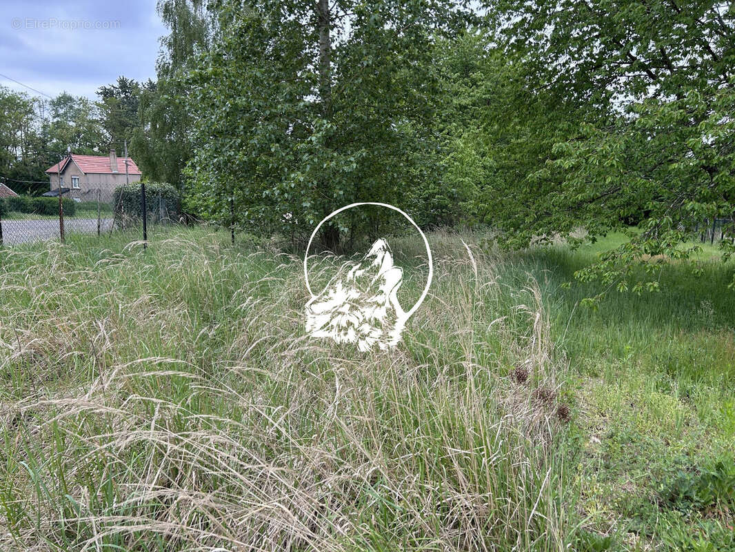 Terrain à L'HOPITAL