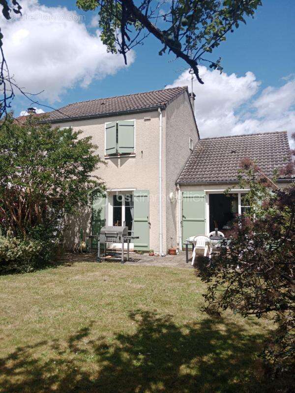 exclusivité - photo 2