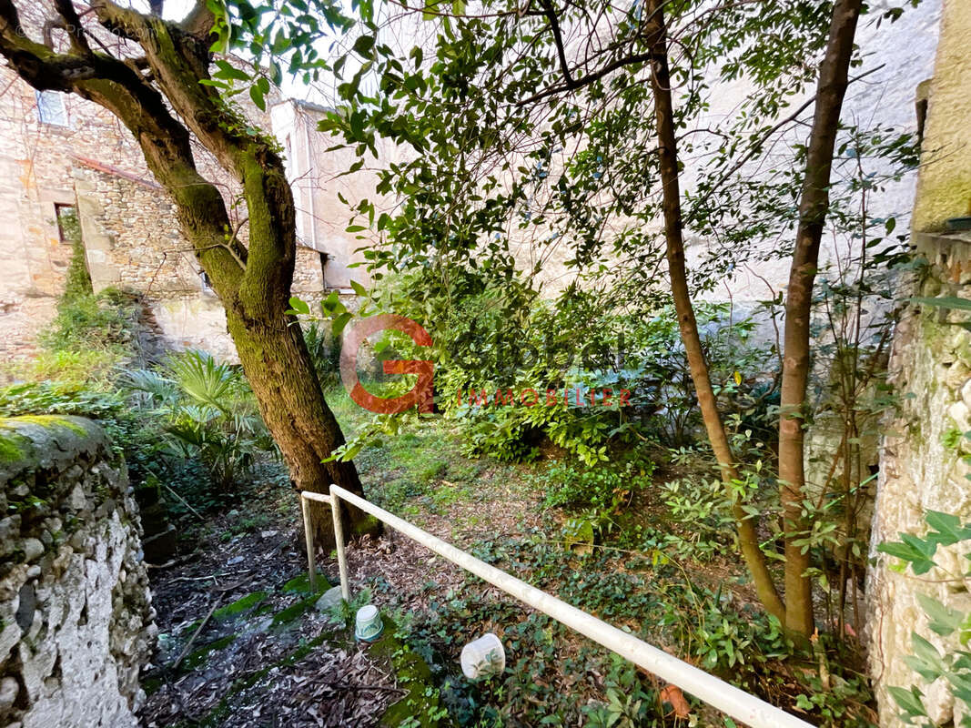 Maison de Maître 10 pièces avec jardin et cave. - photo 8