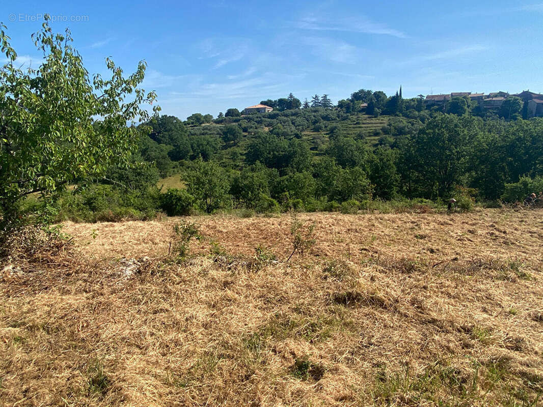 Terrain - Jolie environnement - photo 2