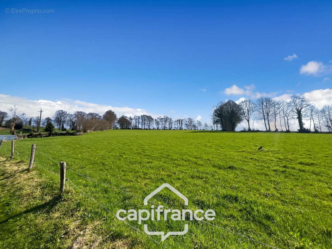 Maison de 5 pièces, 145m² et 67795 m² de terrain - photo 19