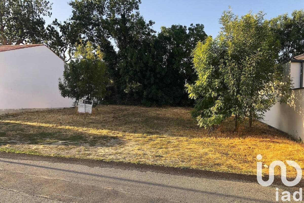 Photo 1 - Terrain à SALLES-SUR-MER