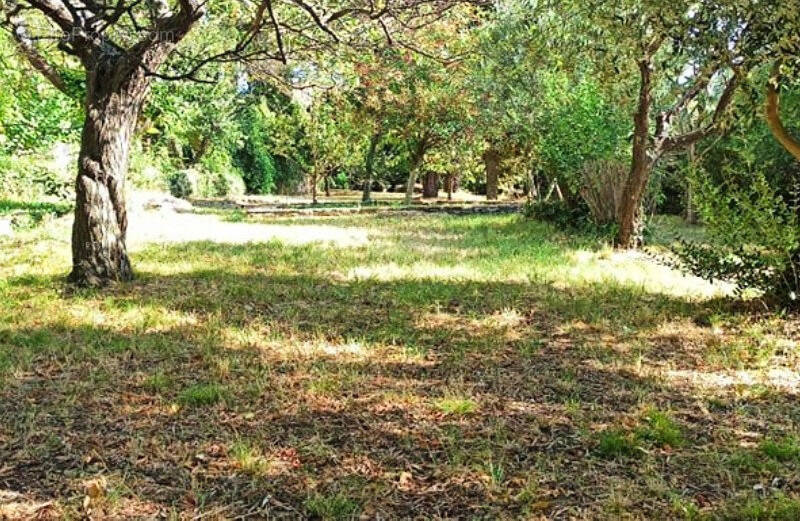 Terrain à LA GARDE-FREINET