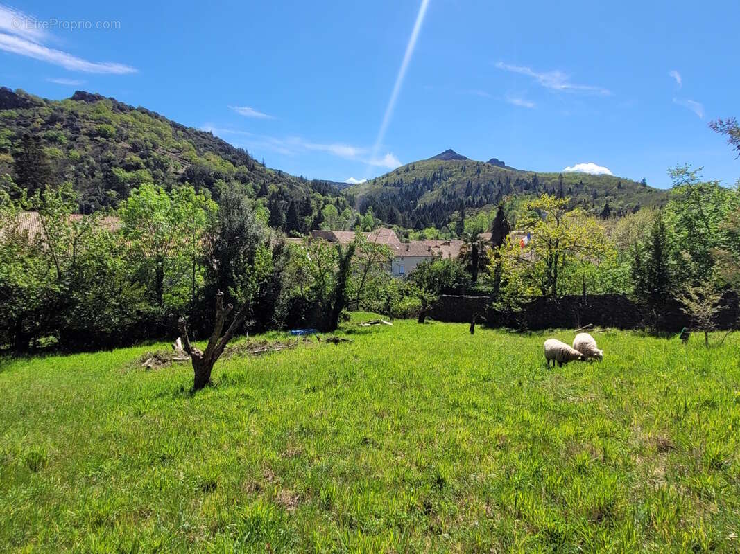 Maison à LAMALOU-LES-BAINS