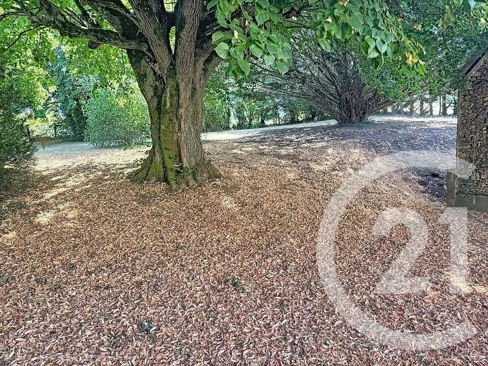 Maison 73 m² à Chevannes  - photo 11