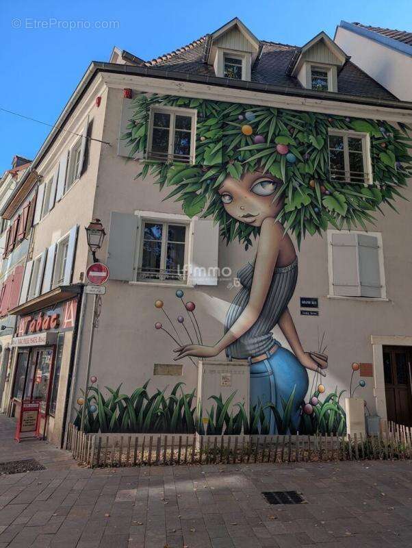 Commerce à MULHOUSE