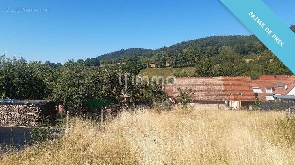 Terrain à bâtir à Lembach - photo 4