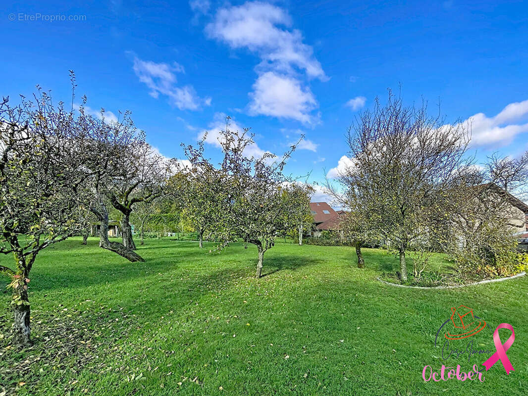 Terrain à COLLONGES
