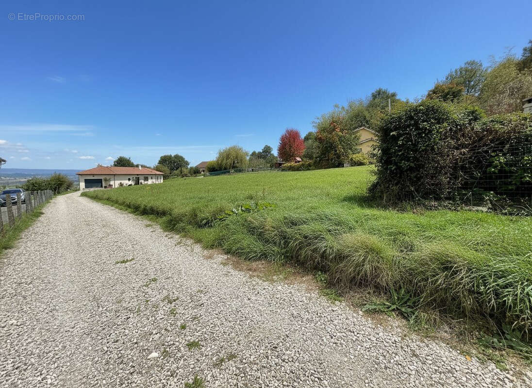 Terrain à POMMIER-DE-BEAUREPAIRE