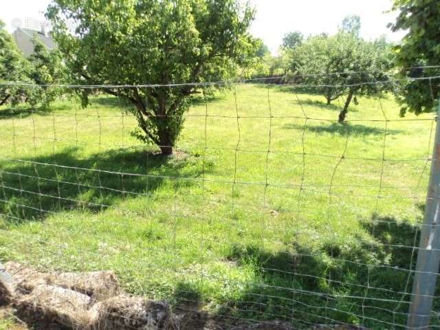Terrain à LASSIGNY